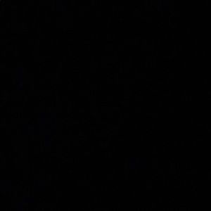 Meet your Posher, Mackenzie